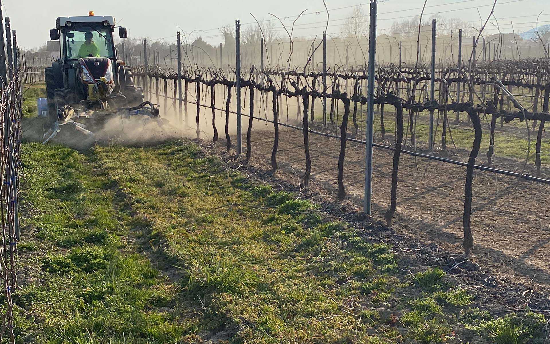 Andanatore per la gestione delle infestanti