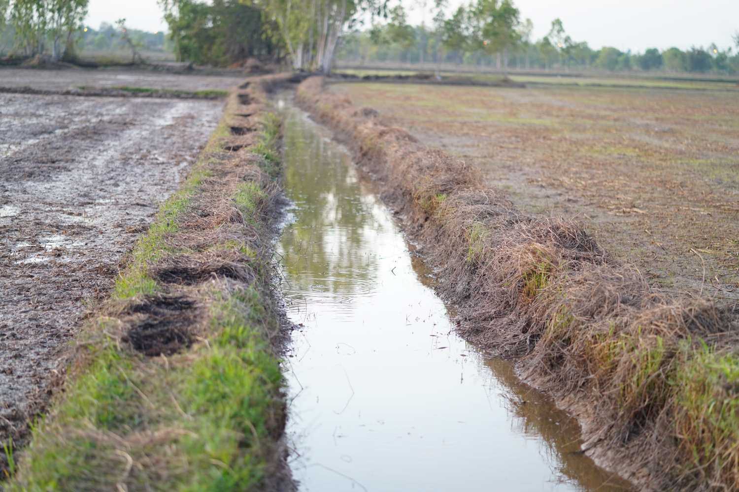 Drenaggio acqua tramite canale - Zanon