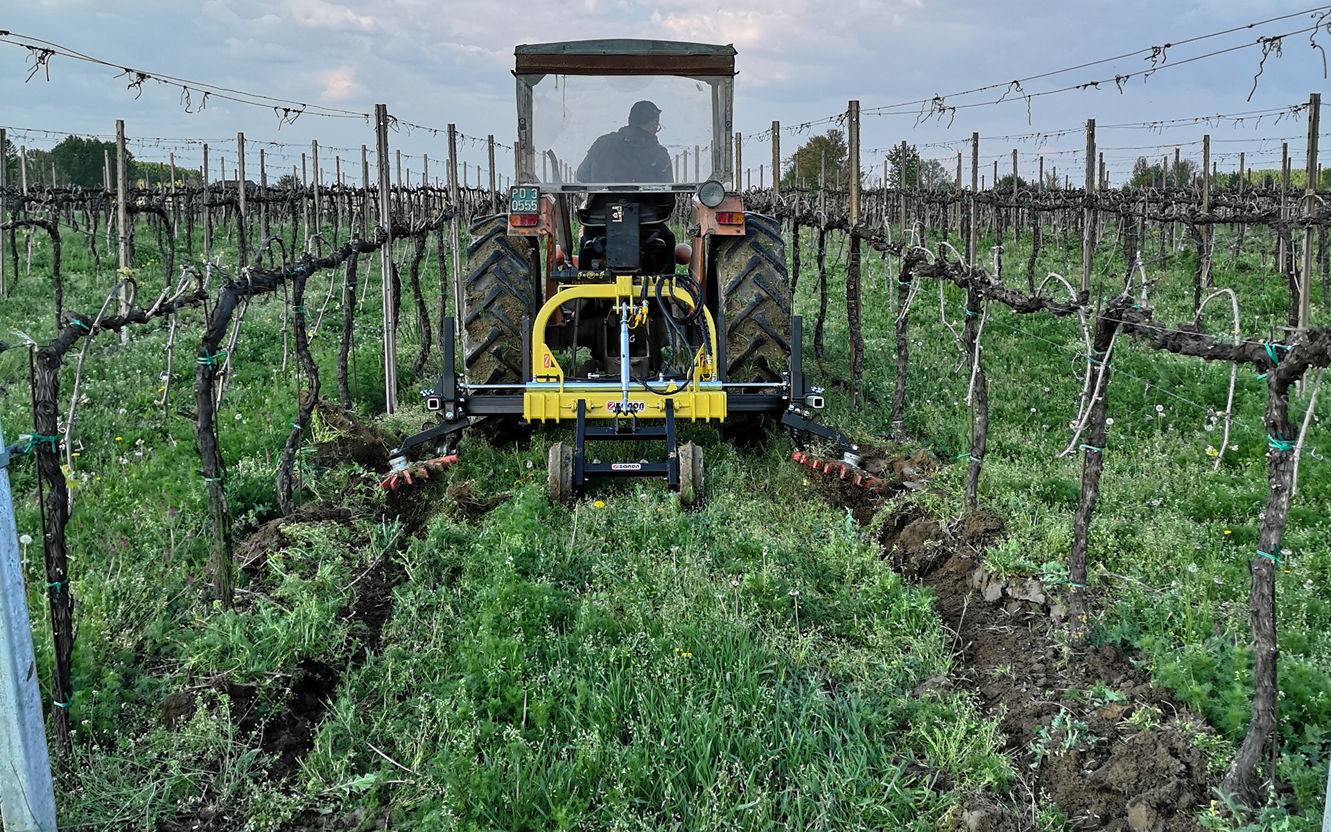 Diserbatrice meccanica con sarchiatrice a dita per vigneti e frutteti - Zanon