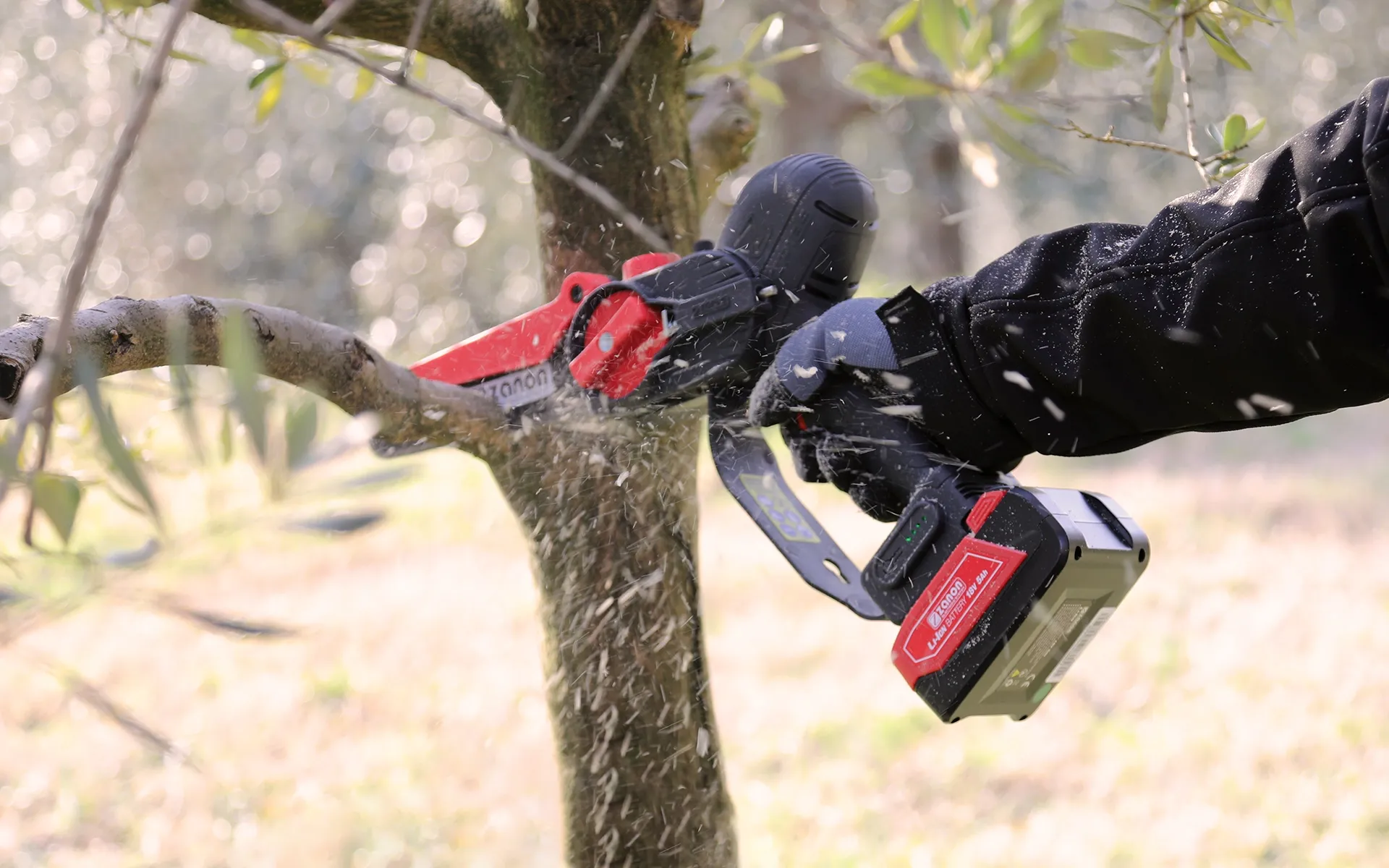 Electronic Pruner ZP 185 - Zanon