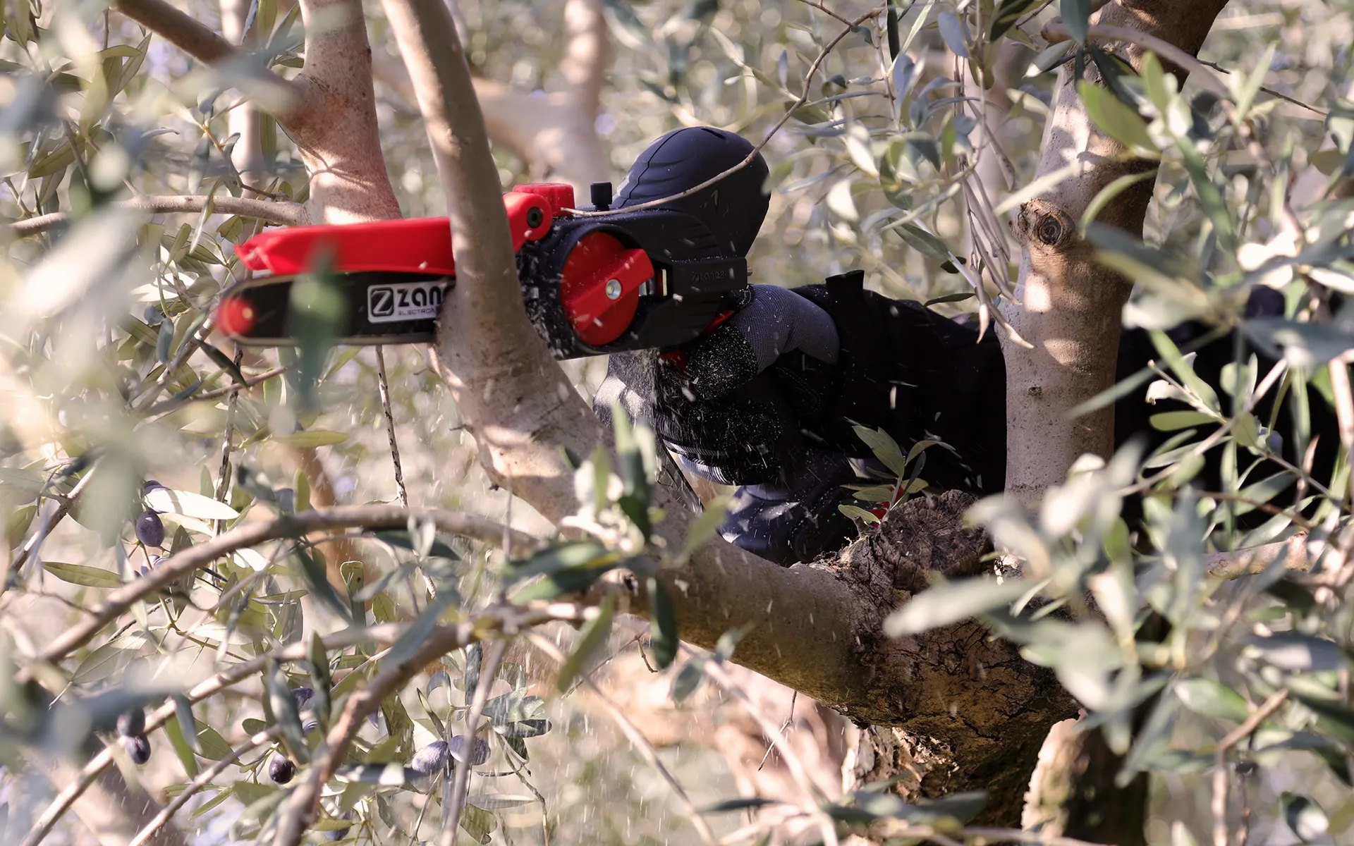 Electronic Pruner ZP 185 - Zanon