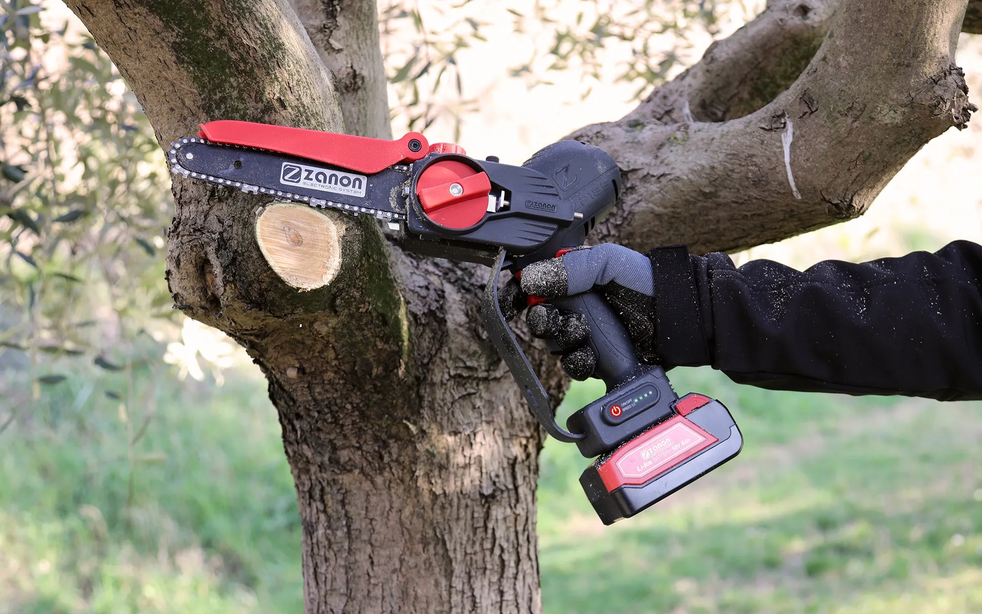 Electronic Pruner ZP 185 - Zanon
