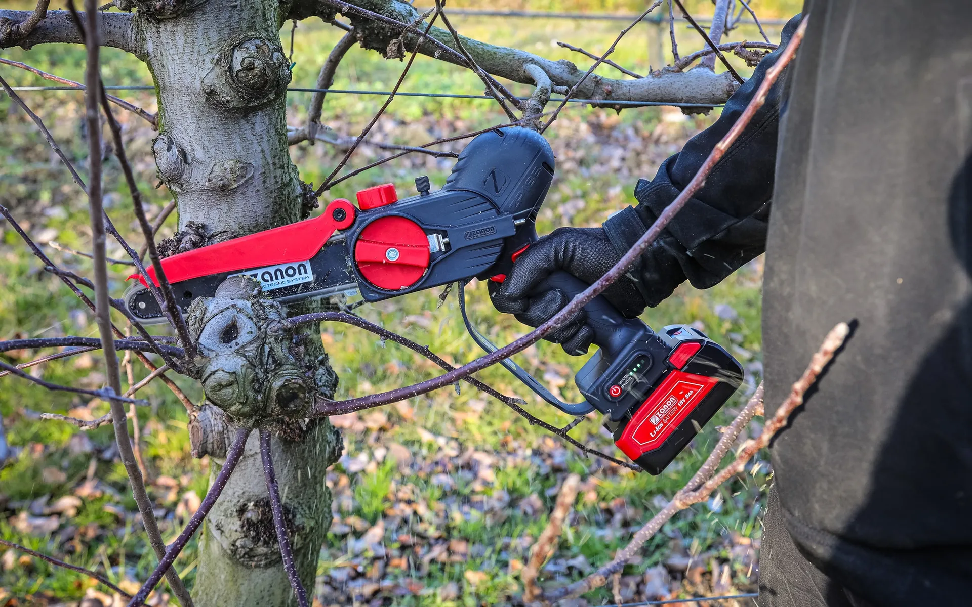 Electronic Pruner ZP 185 - Zanon