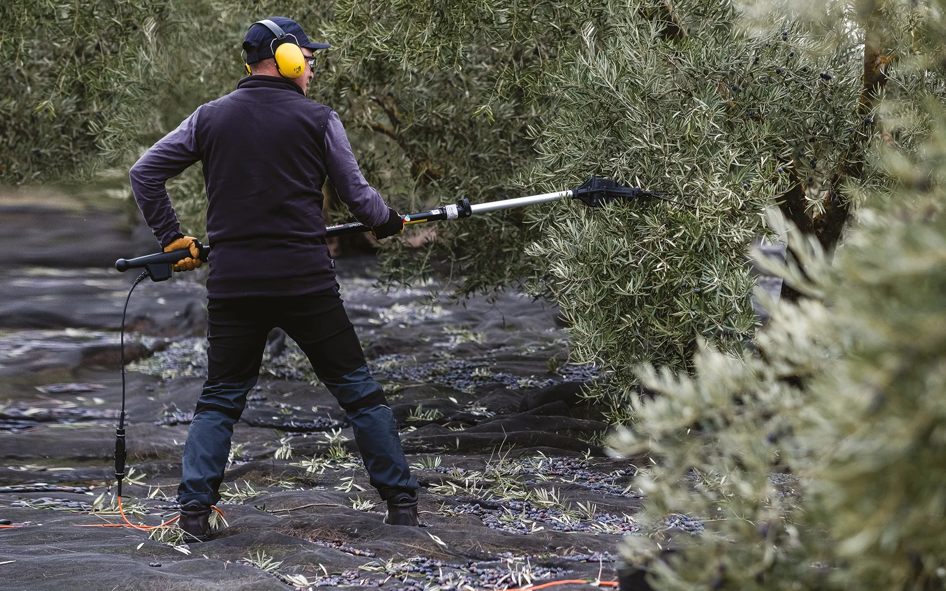 Settore Completo Karbonium EVO 33 V - Ricambi Agricoli